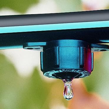 xan cinar agaci satisi: Bağlar üçün damcı suvarma sistemi quraşdırılması Bağınızın daha — 3