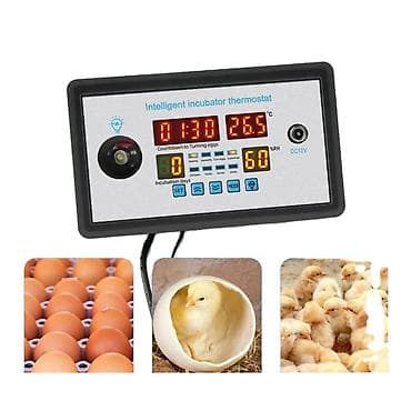 Reklam lövhələri: Ağıllı İnkişafetmə (inkubator) Termostatı – DC12V, 220V girişli — 2