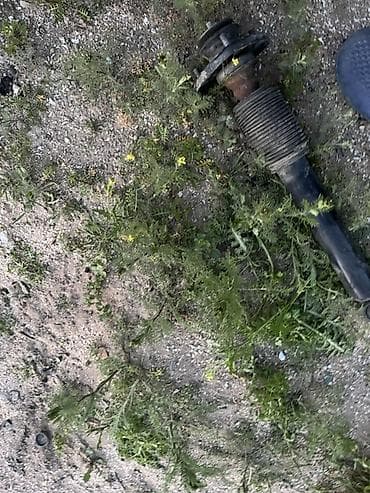 bmw e 80: BMW X5, 2005 il, Orijinal, İşlənmiş — 2