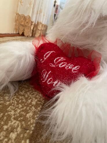 uşaq ucun yemək qab dəsti: Oyuncaq pişik.Evdə yer tutur deyə satmaq istiyirəm — 2