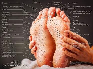 tibbi banka qiyməti: Полезные для здоровья массажные доски садху, для начинающих, на — 17