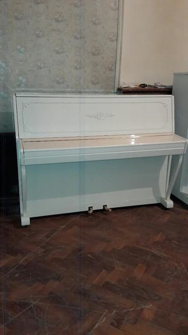 terlan elekberov: Pianino əla vəziyyədə. CADIRILMA və köklənmə pulsuzdu. Zəmanət verir — 1