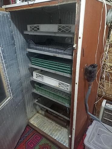 hava kompresör: Tam avtomat — 3