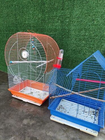 dovşan qəfəsi: Qəfəslər quşlar — 9