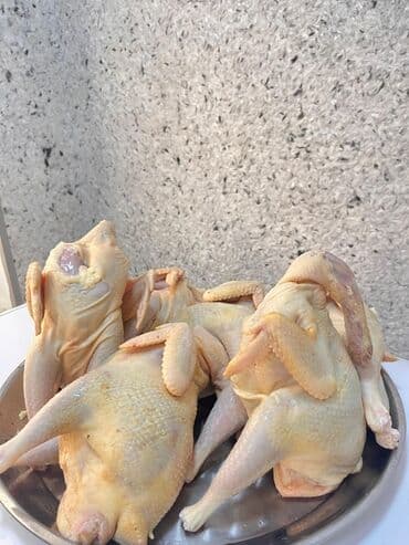 Чай, кофе, напитки: Məhsul: kənd toyuqları (kəsilmiş, təmizlənmiş, bütöv) • Dadlı və — 2