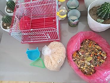 Heyvanlar üçün mallar: Hamsterler üçün qəfəs və aksesuar dəsti + yem — 1