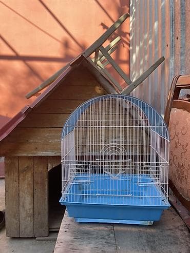 ev qus: YARM METR UZUNLUQ.35*30 ENI. Yarımdairəvi formalı, açıq mavi rəngli — 2