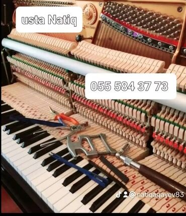 alet qutusu: Pianinonun təmiri və sazlanması üçün alətlər dəsti. Müxtəlif növ — 1