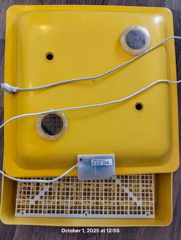 Inkubator, 60ədədli, İtaliya istehsalı, INCUBATRICI BOROTTO lalafo.az -da Inkubator, 60ədədli, İtaliya istehsalı, INCUBATRICI BOROTTO