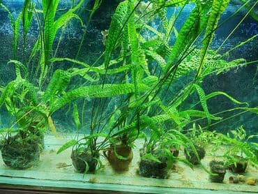 bmw 1 серия 114i mt: Вместе с рыбами, 780 л, Самовывоз — 4