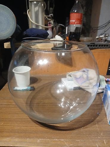 ev heyvanlarının satışı: Yumru akvarium, Boş, 5 l, Ödənişli çatdırılma — 4