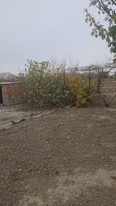 Qarajlar: 3 sot, Tikinti, Makler, Kupça (Çıxarış) — 3