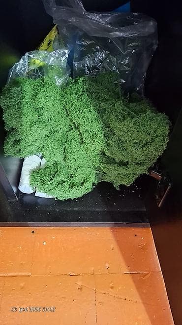Akvariumlar: Akvaryum komplekti – şkaflı Akvaryum 100 lt qalin şüşədən şkafla — 9