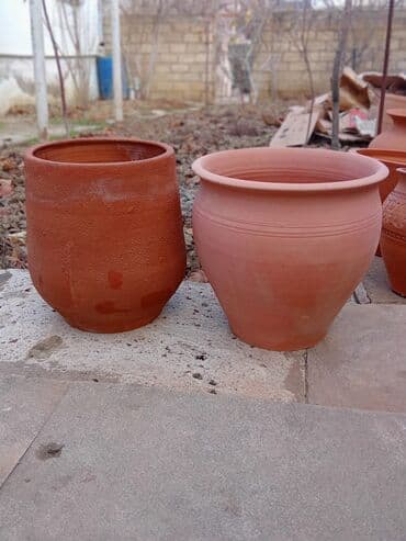 ev bitkisi: Salam hündürlük 35 sm altliq tava var Bütün dibcaklər özümüz istehsal — 1