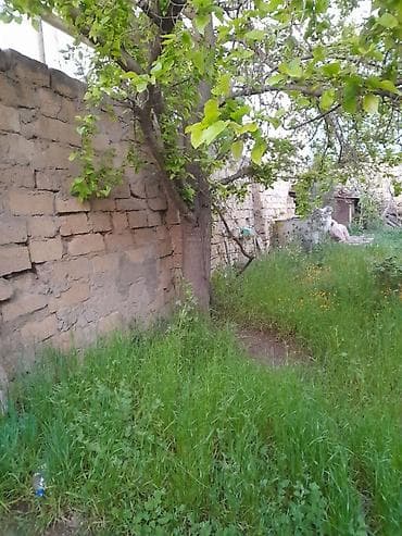 8 sot, Kənd təsərrüfatı, Kupça (Çıxarış) — 2