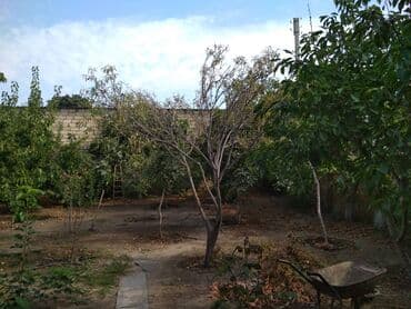 blackbird ət çəkən: 3 otaqlı, 135 kv. m, Orta təmir — 21