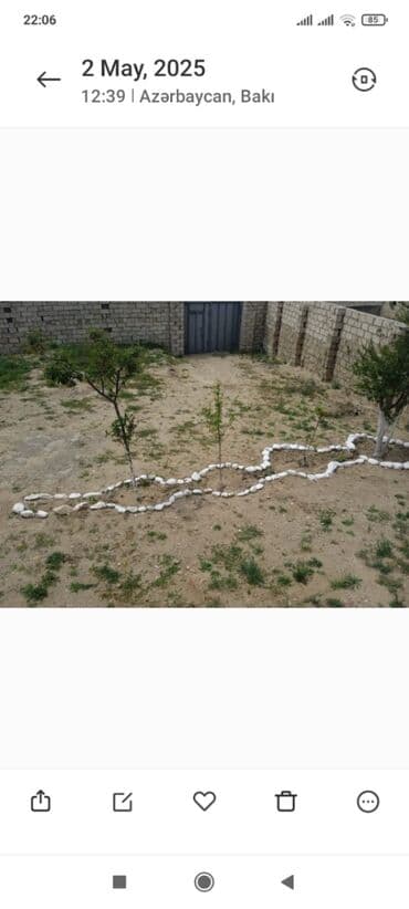 Bıçaqlar: 40 kv. m, 1 otaqlı, Qaz — 4