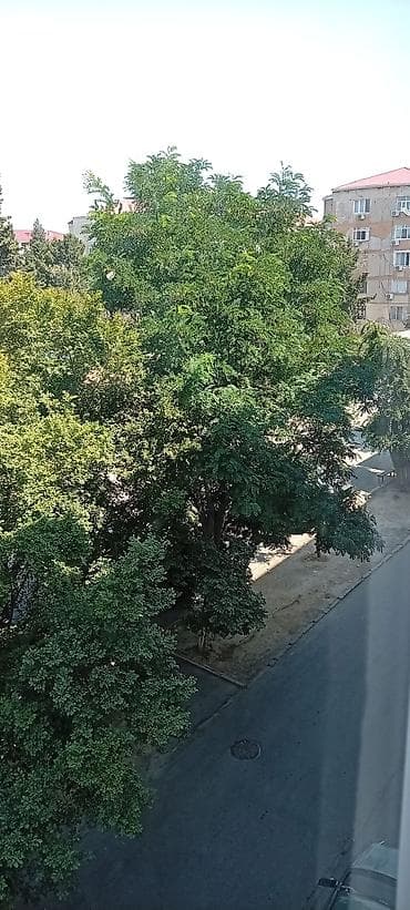 3 otaqli ev: Sumqayıt, 4 otaqlı, Köhnə tikili, 80 kv. m — 2