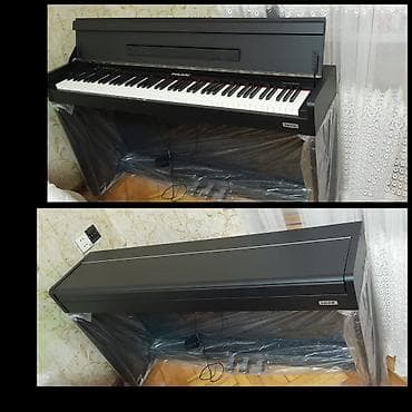 ney aleti: Elektron pianino 1000 manat təzədir NUX WK-310 modelinə uyğun gəlir — 1