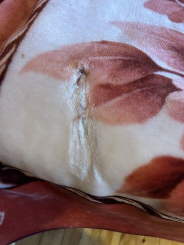 madame coco azərbaycan: İkinəfərlik-230x200m -20 azn,1 nəfərlik-230x165-25 azn,ünvan Mərdəkan — 2