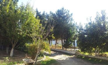 heyət evi: 8 otaq, 220 kv. m, Orta təmir — 1