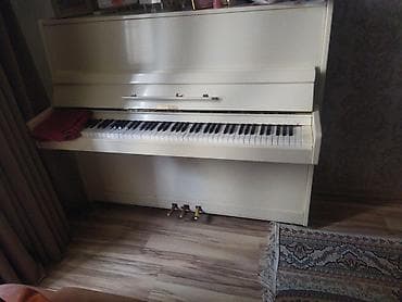 korg pa x1: Piano, Belarus, Akustik — 1