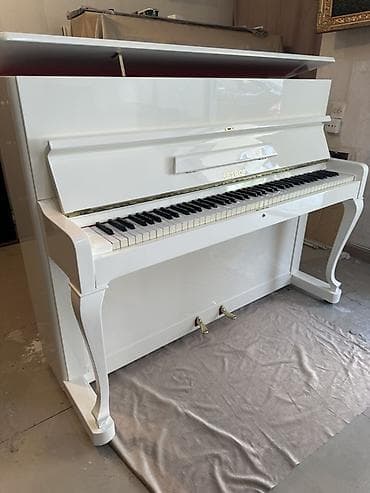 Piano, Petrof, Akustik, Yeni, Pulsuz çatdırılma — 1