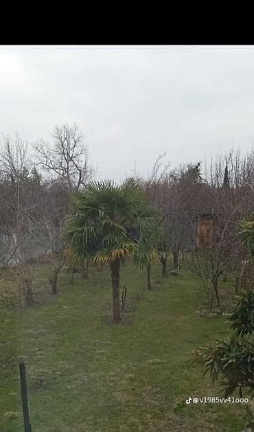 Квартиры: 6 соток, Для строительства — 1