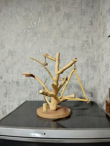 daniwan papuqay: Papuqay stend — 1