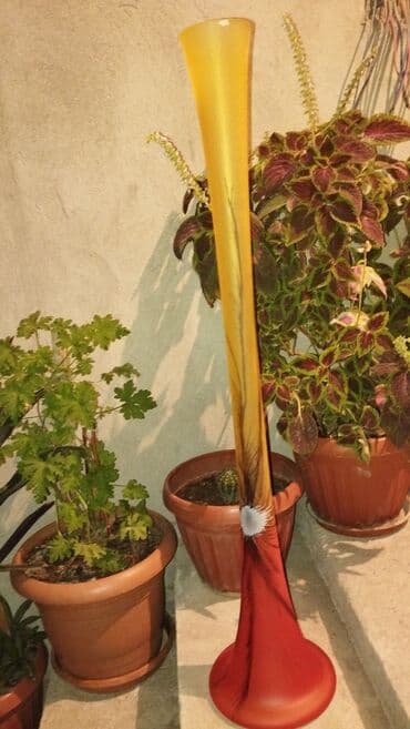 demir gul qablari: Güldan satılır — 1