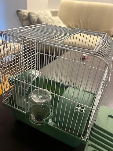 Heyvanlar üçün mallar: Hamster ucun qefes satilir, elave oyuncaqlar da var. Icini deyismek — 1