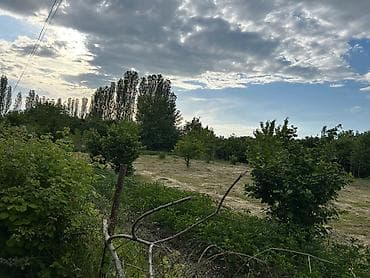 ucar rayonu: 24 sot, Tikinti, Mülkiyyətçi, Kupça (Çıxarış) — 1