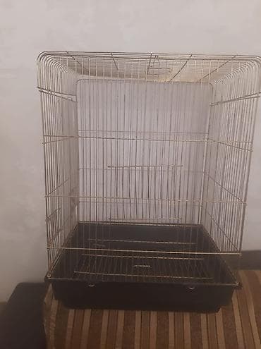 qefes: Qizili reng qefes yenidir Hundurluyu 56 Eni 42 Istiyen olsa Genclikden — 3