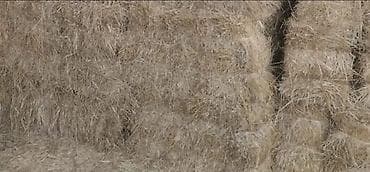 ağdaş yemi: Məhsul: Preslənmiş saman bağlamaları Təsvir: - Kənd təsərrüfatı və — 4