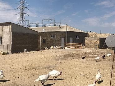 Дома: 2 hektar ümumi sahəyə malik, çıxarışlı (kupçalı) torpaq sahəsi — 2