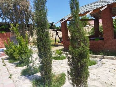 qaracuxurda ev: 100 kv. m, 2 otaqlı — 25