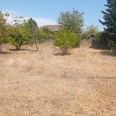 dasinmaz emlak agentliyi: Tikinti — 4