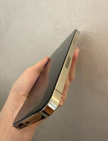 apple watch 1: IPhone 13 Pro Max, 128 GB, Qızılı, Face ID — 5
