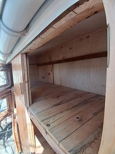 ekran ucun pisik sekilleri: Taxta quşxana / toyuq damı matryal sizden duzeltmey bizden zehmet haki — 4