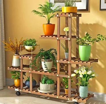 solmaz gülü: Gül rəfi — 9