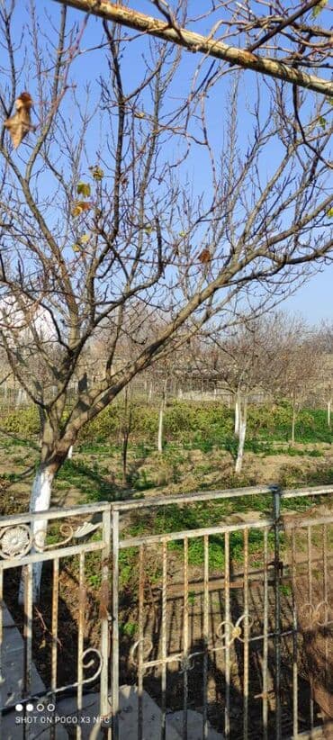 dübəndi torpaq: 11 sot, Makler, Kupça (Çıxarış) — 2