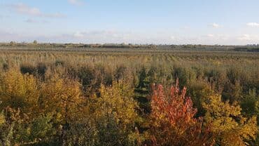 ucuz hotel: 1000 sot, Kənd təsərrüfatı, Makler, Kupça (Çıxarış) — 9