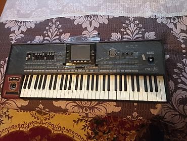 İdman və istirahət: Sintezator, Korg — 7