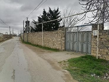 torpaglar: 25000 sot, Tikinti, Barter mümkündür, Kupça (Çıxarış) — 1