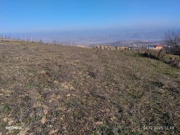 vasitəçisiz iki otaqlı mənzil kirayələmək: Kənd təsərrüfatı — 7