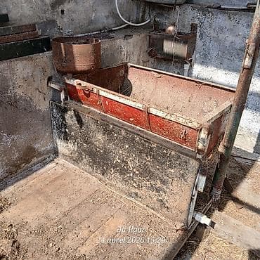 Yem qabı, Yem üçün, Heyvanlar üçün