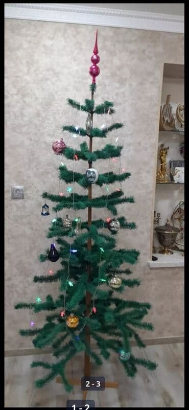 şam ağacı toxumu: Yeni il yolkası — 3