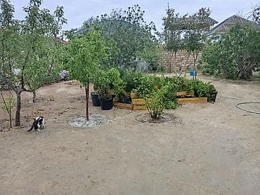 ucuz həyət evi: Həyətyanı sahəsi və bağçalı mənzil - Geniş həyətyanı sahəsi olan, bir — 4