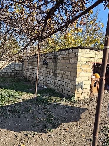 samux rayonu: 14 sot torpaq sahesinin içinde yaşayışlı ev köhnə tikili 2yataq otaq 1 — 6