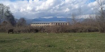 torpaq novxani: 24 sot, Kənd təsərrüfatı, Mülkiyyətçi, Kupça (Çıxarış) — 3